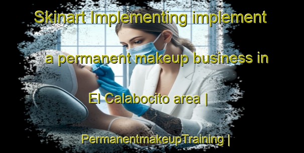 Skinart Implementing implement a permanent makeup business in El Calabocito area | PermanentmakeupTraining | PermanentmakeupClasses | SkinartTraining-Mexico